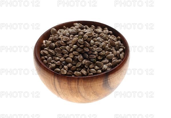 Hemp seeds or hemp nuts, Canabis sativa