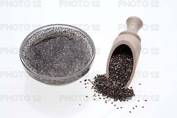 Chia gel, chia seeds soaked in water