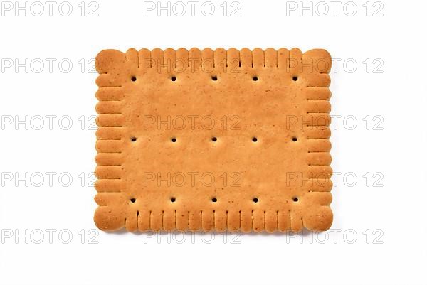 Single rectangular biscuit isolated on white background,