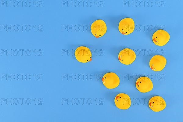 Top view of many yellow rubber ducks on blue background with copy space,