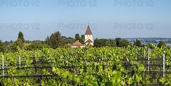 Vineyard and Catholic Parish Church of St. George, a late Carolingian and Ottonian church building in Oberzell on the island of Reichenau