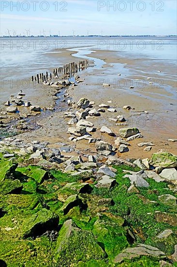 Watercourse in front of the outer dike, Ems