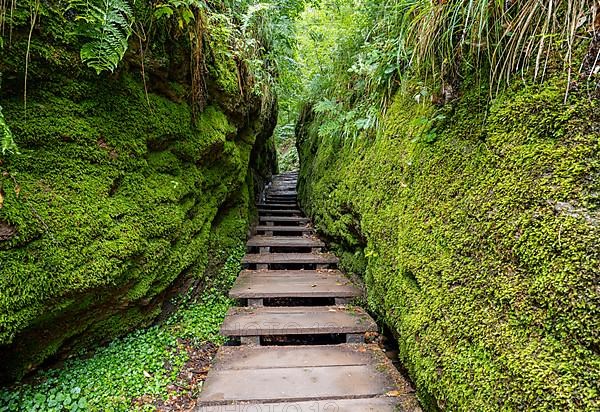 Drachenschlucht, a gorge near Eisenach in the Thuringian Forest in the nature reserve