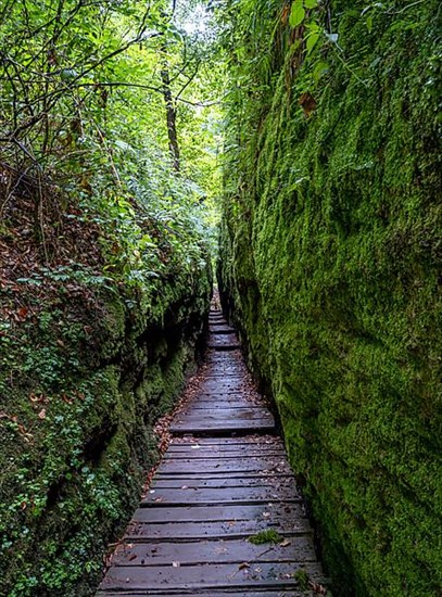 Drachenschlucht, a gorge near Eisenach in the Thuringian Forest in the nature reserve