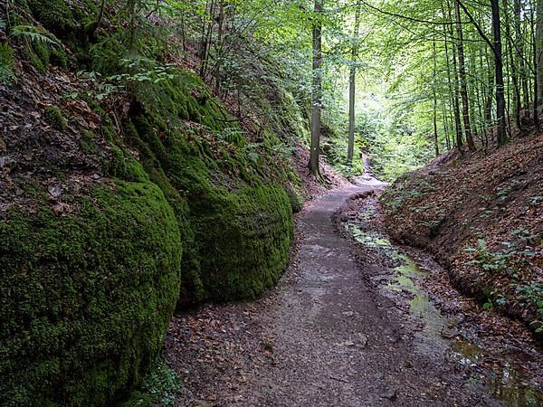 Drachenschlucht, a gorge near Eisenach in the Thuringian Forest in the nature reserve