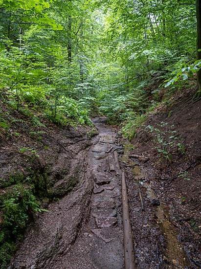 Drachenschlucht, a gorge near Eisenach in the Thuringian Forest in the nature reserve