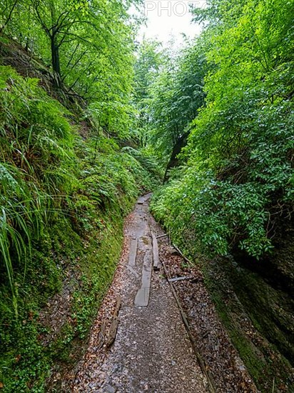 Drachenschlucht, a gorge near Eisenach in the Thuringian Forest in the nature reserve