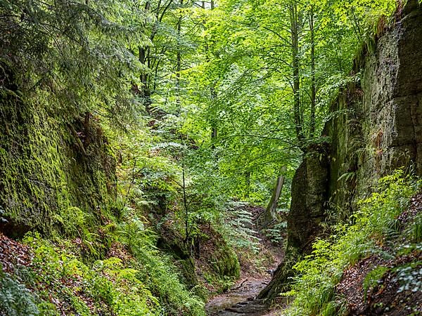 Drachenschlucht, a gorge near Eisenach in the Thuringian Forest in the nature reserve