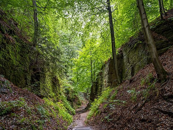 Drachenschlucht, a gorge near Eisenach in the Thuringian Forest in the nature reserve