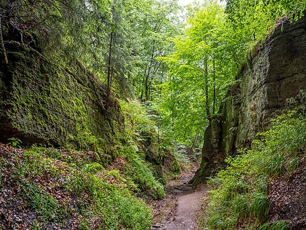 Drachenschlucht, a gorge near Eisenach in the Thuringian Forest in the nature reserve