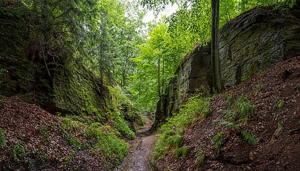 Drachenschlucht, a gorge near Eisenach in the Thuringian Forest in the nature reserve