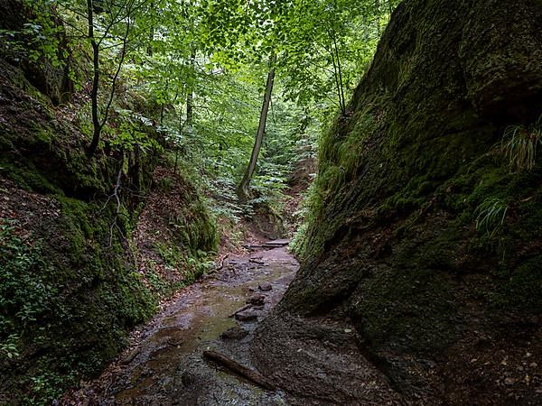 Drachenschlucht, a gorge near Eisenach in the Thuringian Forest in the nature reserve