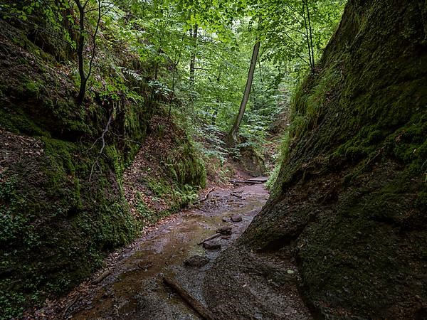 Drachenschlucht, a gorge near Eisenach in the Thuringian Forest in the nature reserve