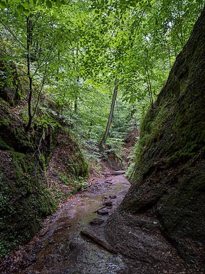 Drachenschlucht, a gorge near Eisenach in the Thuringian Forest in the nature reserve