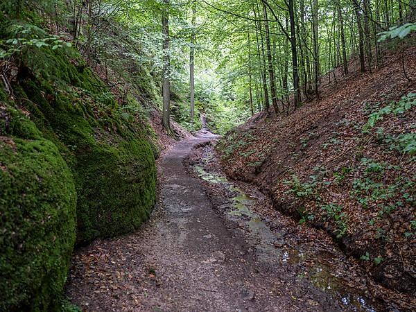 Drachenschlucht, a gorge near Eisenach in the Thuringian Forest in the nature reserve