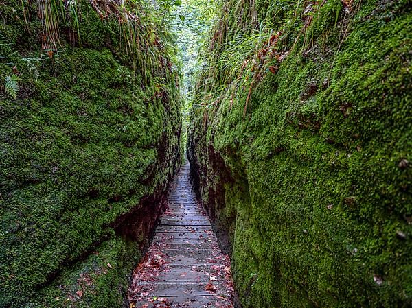 Drachenschlucht, a gorge near Eisenach in the Thuringian Forest in the nature reserve