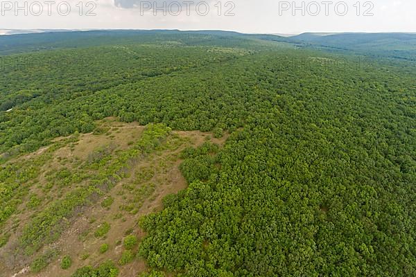 Babadag Forest, Rezervatia Naturala Padurea Babadag