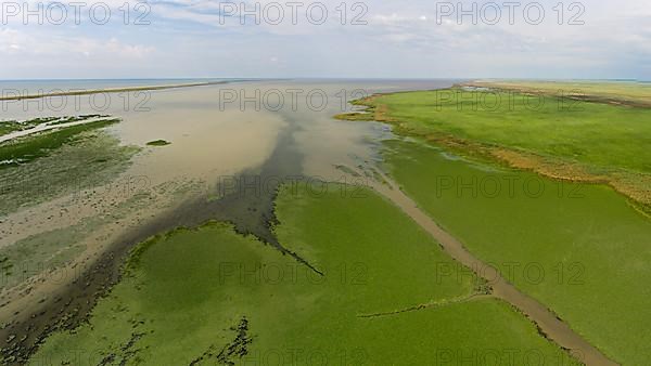 Laguna Sacalin, drone image