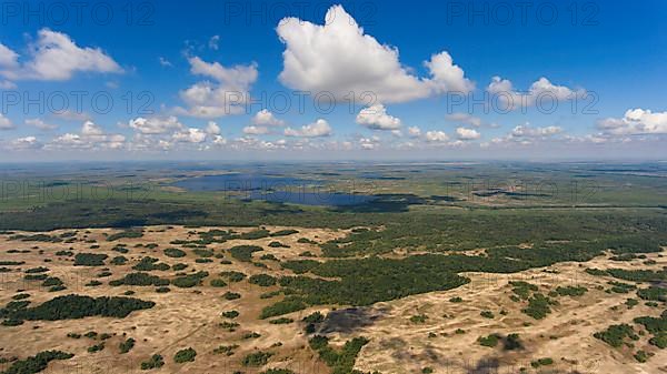 Letea Forest, Europe's northernmost subtropical forest