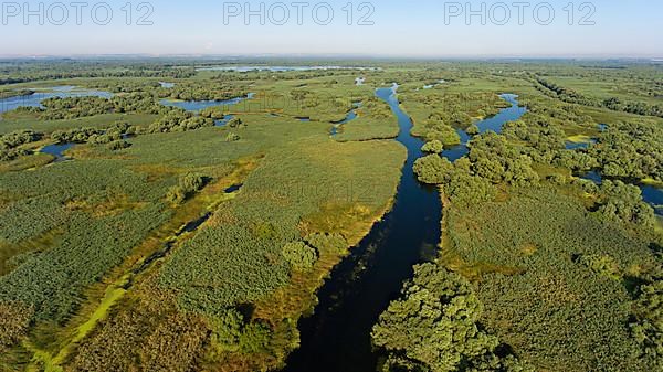 Danube River Delta, landscape with lakes