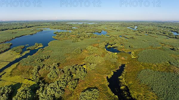 Danube River Delta, landscape with lakes