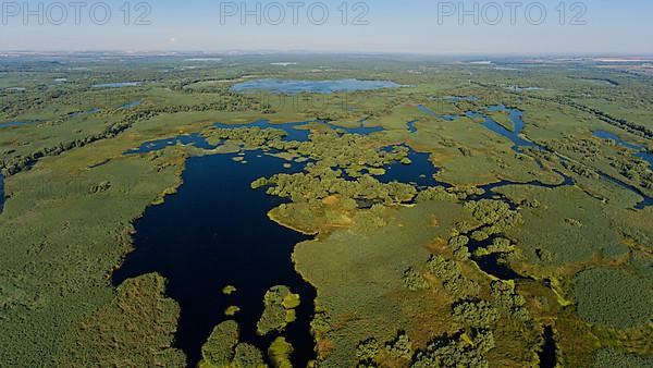 Danube River Delta, landscape with lakes