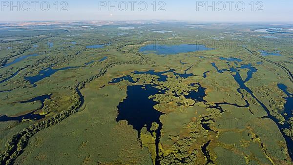 Danube River Delta, landscape with lakes