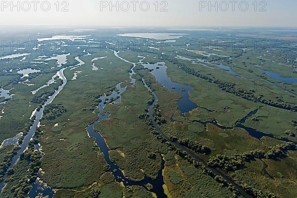 Danube River Delta, landscape with lakes