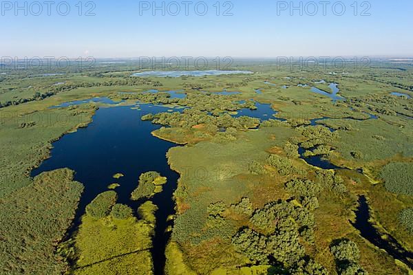 Danube River Delta, landscape with lakes