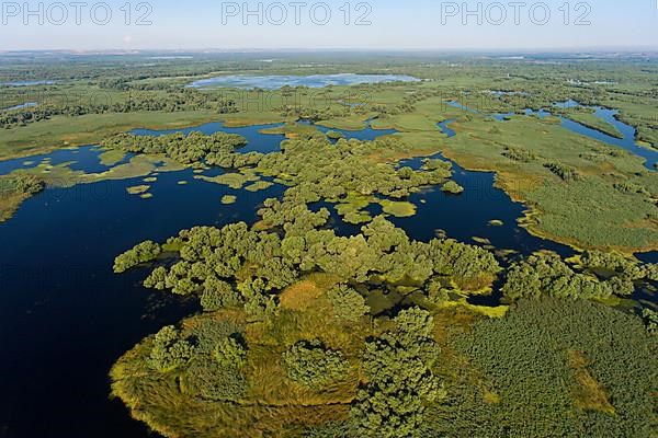 Danube River Delta, landscape with lakes