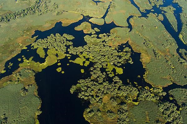 Danube River Delta, landscape with lakes