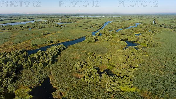 Danube River Delta, landscape with lakes