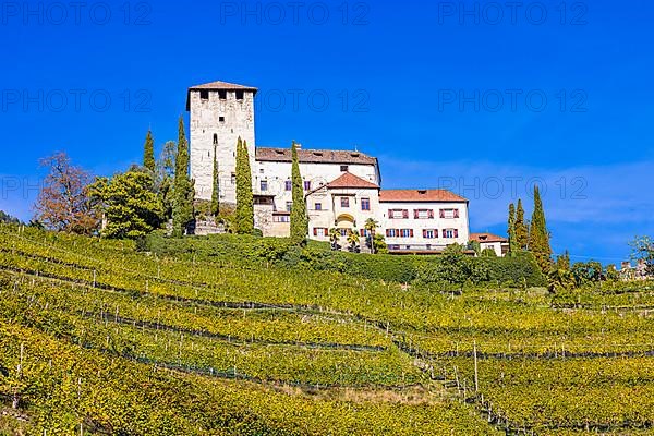 Lebenberg Castle above vineyards, view from the Marlinger Waalweg