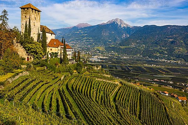 Lebenberg Castle above vineyards, Ifinger Peak in the background