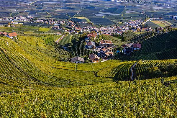 The village of Tscherms in the middle of vineyards, view from the Marlinger Waalweg