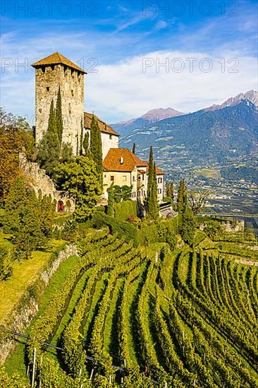 Lebenberg Castle above vineyards, near Cermes