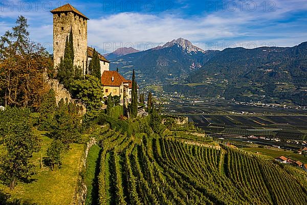 Lebenberg Castle above vineyards, near Cermes