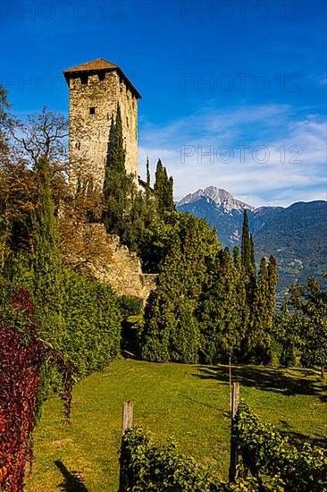 Lebenberg Castle, near Cermes