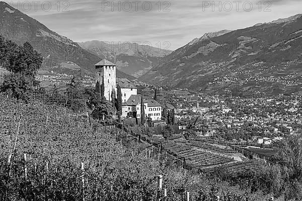 Lebenberg Castle above vineyards, near Tscherms