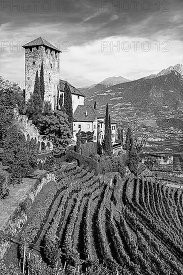 Lebenberg Castle above vineyards, near Tscherms