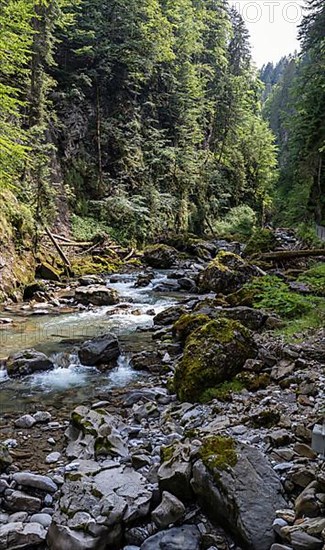 River Breitach in the Breitachklamm gorge near Oberstdorf, Oberallgaeu