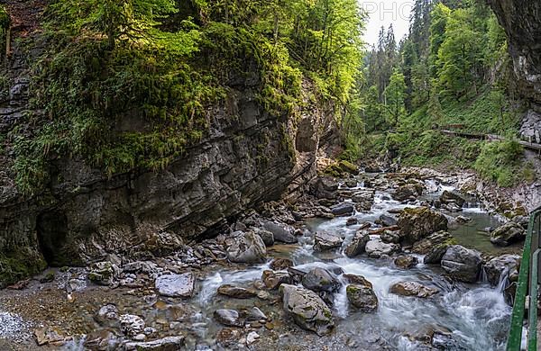 River Breitach in the Breitachklamm gorge near Oberstdorf, Oberallgaeu