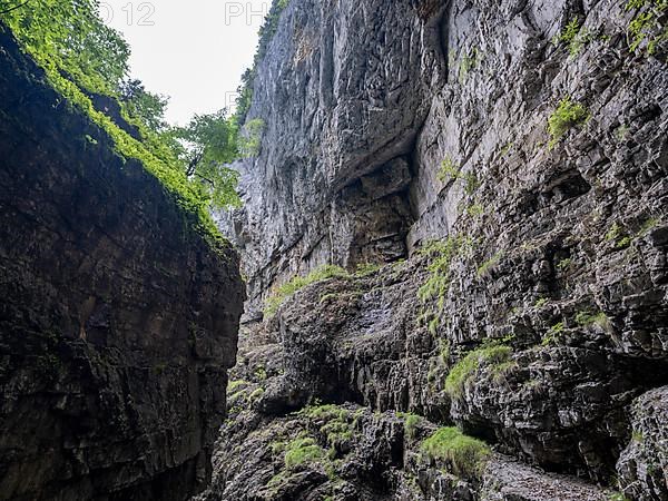 Breitachklamm gorge near Oberstdorf, Oberallgaeu