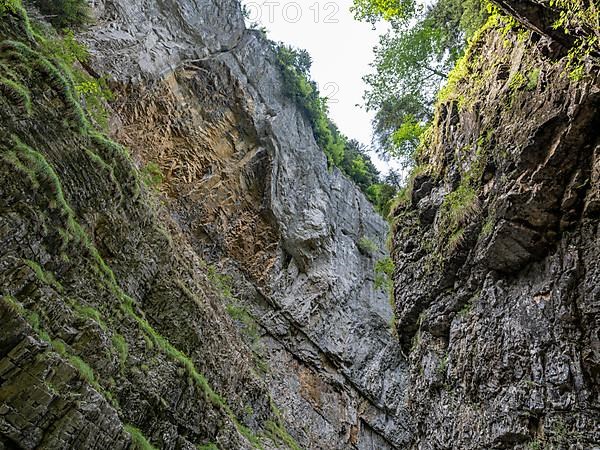 Breitachklamm gorge near Oberstdorf, Oberallgaeu