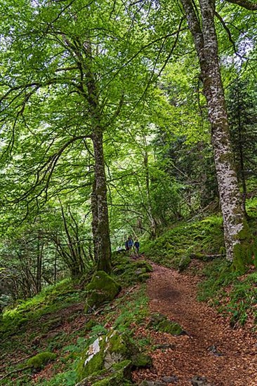 France, Pyrenean mountain range