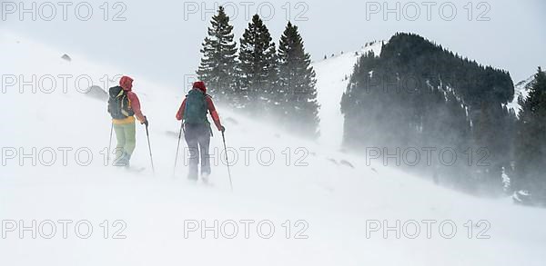 Two ski tourers, snowstorm