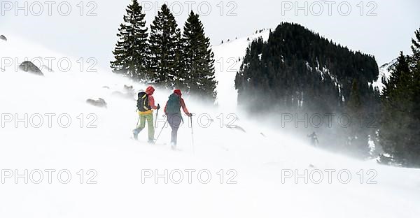 Two ski tourers, snowstorm