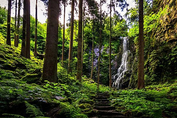 Waterfall with old stone steps in the green forest, the Burgbach waterfall near Schapbach in the Black Forest