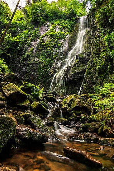 Waterfall with stream in the green forest, the Burgbach waterfall near Schapbach in the Black Forest