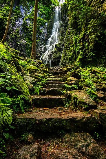 Waterfall with old stone steps in the green forest, the Burgbach waterfall near Schapbach in the Black Forest